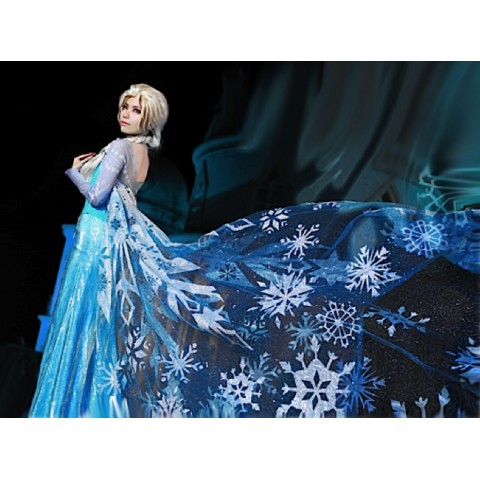 Frozen Vestiti Carnevale Elsa Donna Adulto 8899020 - 20B